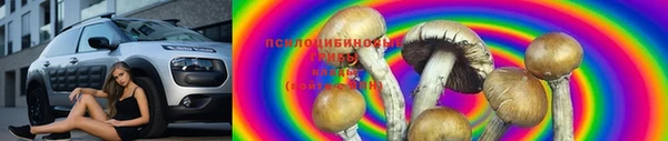 дживик Алексеевка