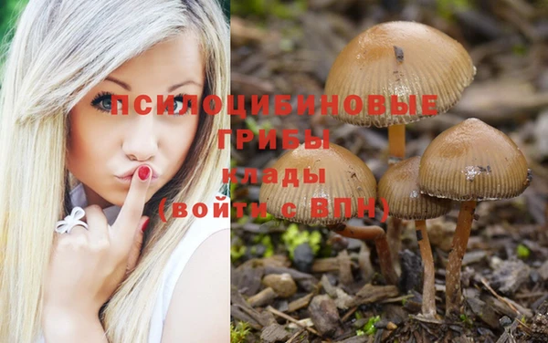 прущие крисы Аркадак