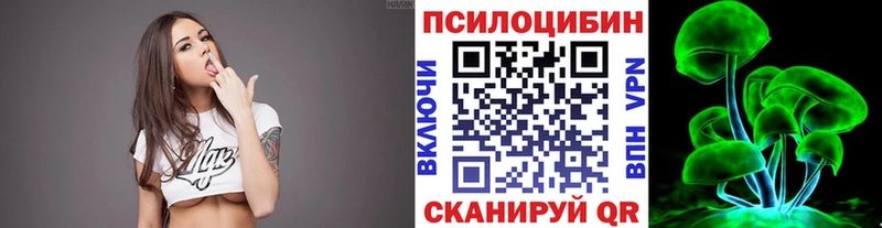 нарко площадка какой сайт  Кологрив  Псилоцибиновые грибы Cubensis 