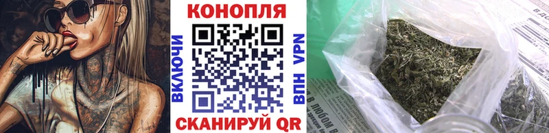 как найти закладки  Кологрив  Бошки марихуана план 